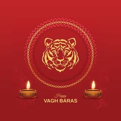 Modern vector illustration of Vagh Baras with tiger and floral designs