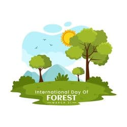 Social post design with dense green forest and text promoting forest conservation – AiFlexa