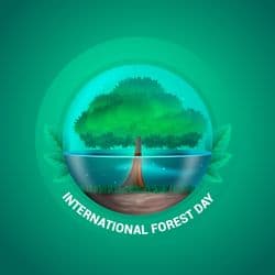 Eco-themed Forest Day post with brand space and forest visuals – AiFlexa