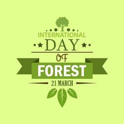 Vibrant Diwali social post with diyas, rangoli, and glowing lights – AiFlexa