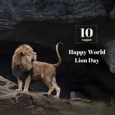 Creative World Lion Day social media design with lion graphic