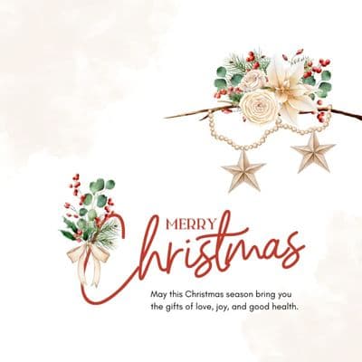 Merry Christmas festive wishes holiday social media creative