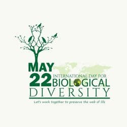 Eco-Themed Biodiversity Awareness Poster Designed on AiFlexa