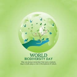 International Biodiversity Day Digital Poster by AiFlexa