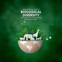 Eco-Themed Biodiversity Awareness Poster Designed on AiFlexa