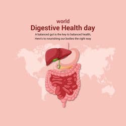 Professional social media post template for World Digestive Health Day with gut icon, healthy diet elements, and awareness message